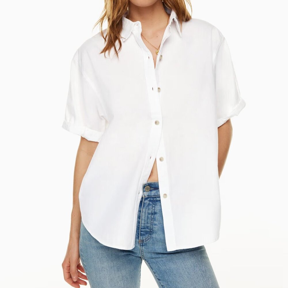 Aritzia Denim Forum Jane Shirt